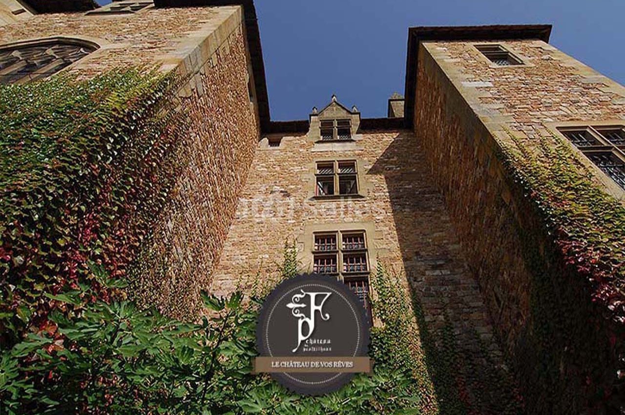 Façade en pierre d'un château historique entourée de végétation, vue en contre-plongée sous un ciel bleu.