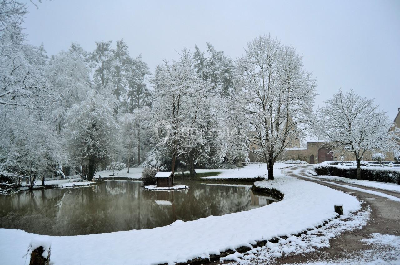 Étang entouré d'arbres et de chemins couverts de neige dans un paysage hivernal calme.