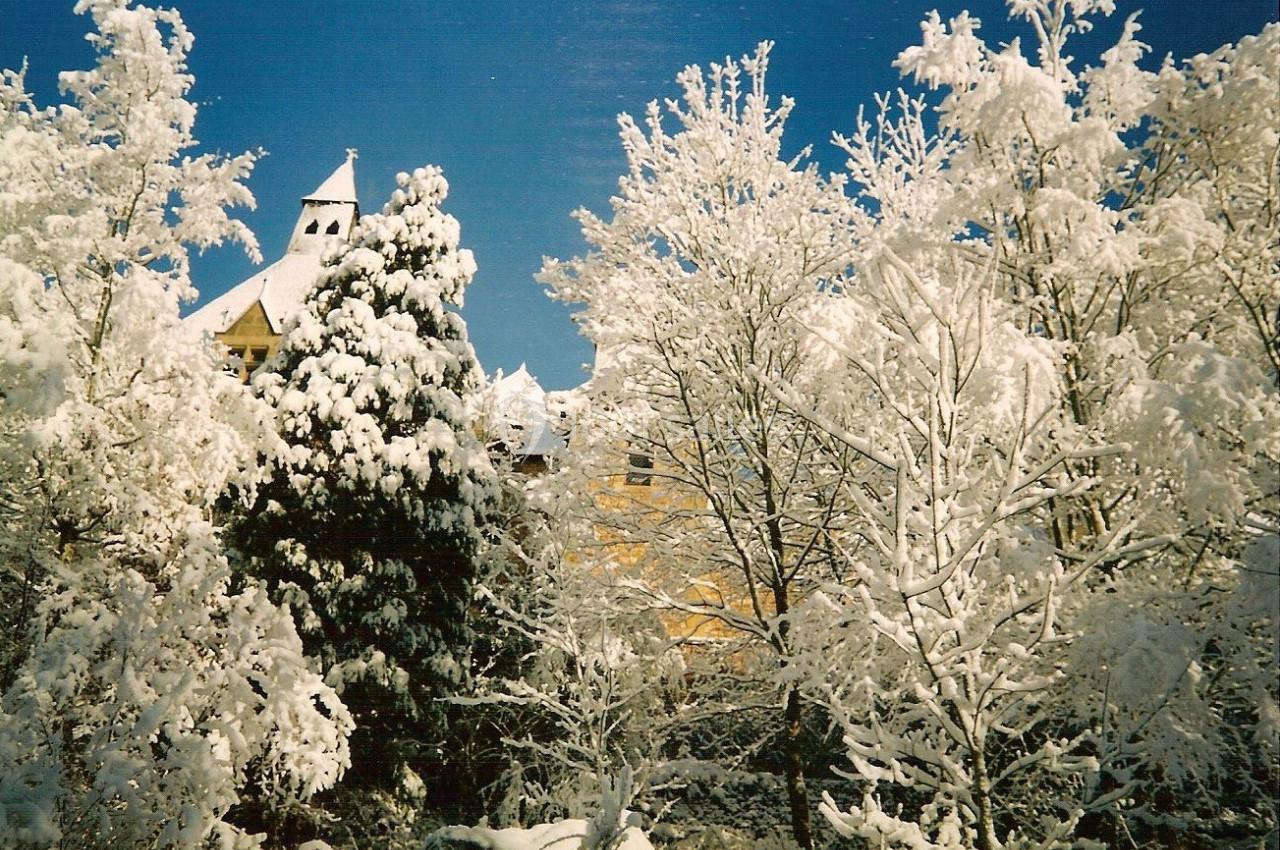 Paysage hivernal avec des arbres enneigés et un bâtiment au toit pointu visible à travers les branches.