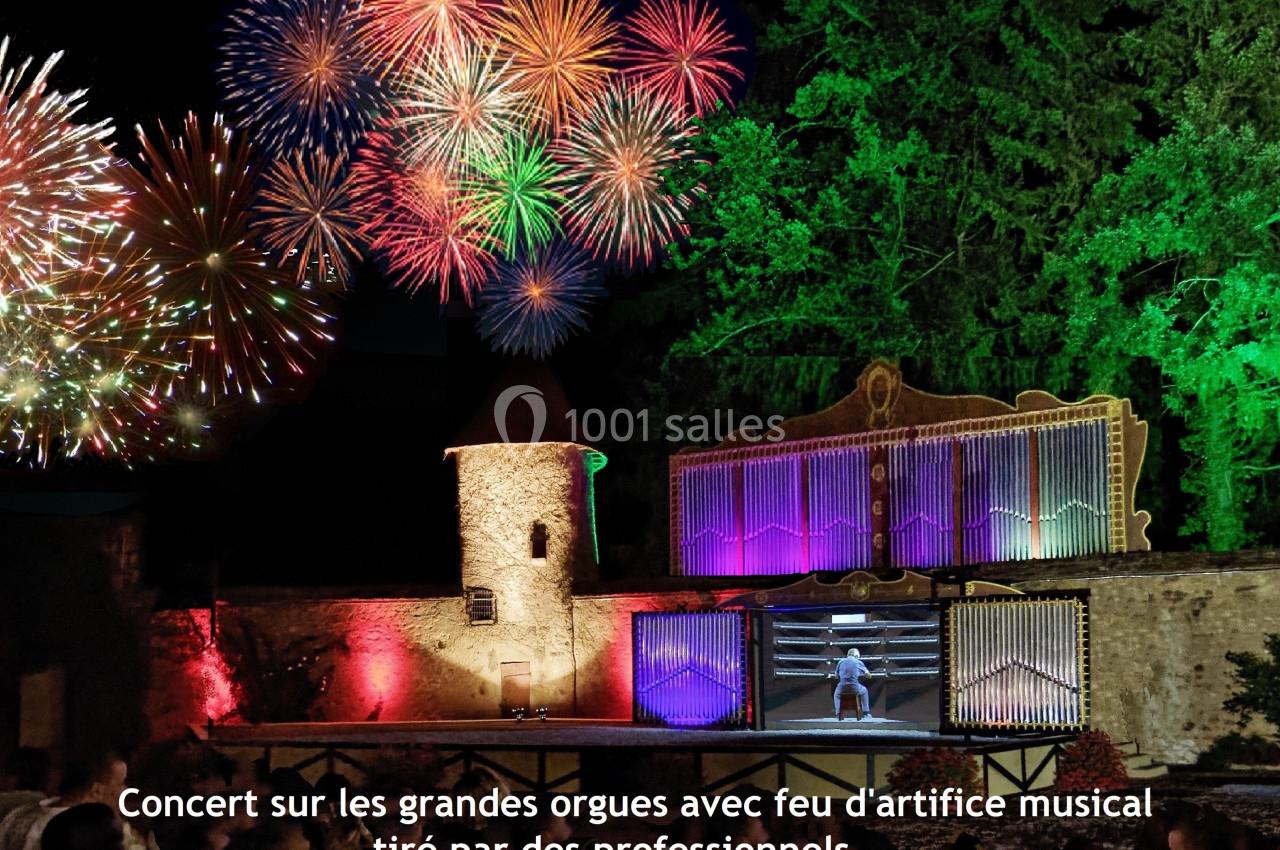 Feu d'artifice musical illuminant un concert en plein air devant des grandes orgues et un public nocturne.