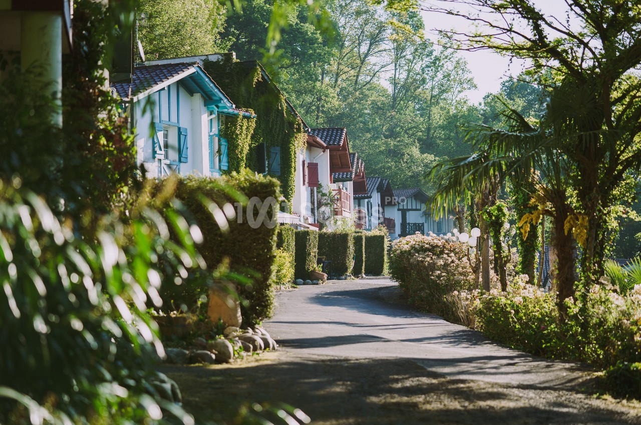 Rue bordée de maisons colorées avec volets, entourée de végétation luxuriante sous une lumière matinale.