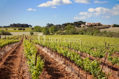 Location salle Agde (Hérault) - Domaine de Beaumont #24