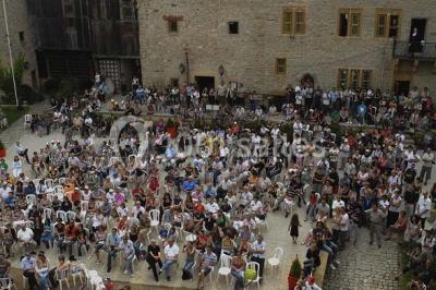 Location salle Manderen (Moselle) - Château De Malbrouck #16