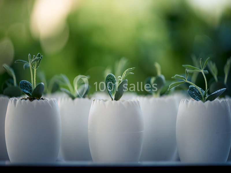 Restaurant M Niderviller - galerie - photo 6