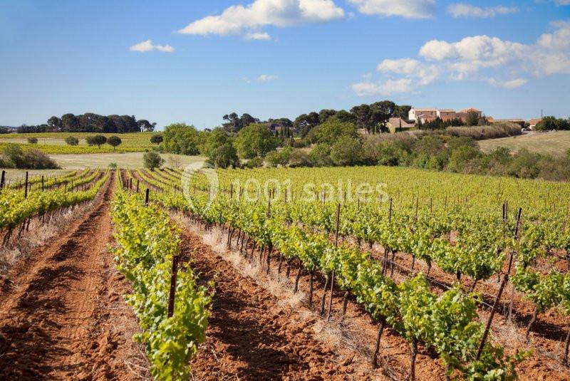 Location salle Agde (Hérault) - Domaine De Beaumont #7 Location salle Agde (Hérault) - Domaine De Beaumont #7