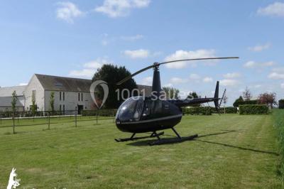 Jardin verdoyant avec pelouse bien entretenue, arbres et arbustes sous un ciel bleu dégagé.