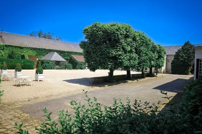 Jardin verdoyant avec pelouse bien entretenue, arbres et arbustes sous un ciel bleu dégagé.