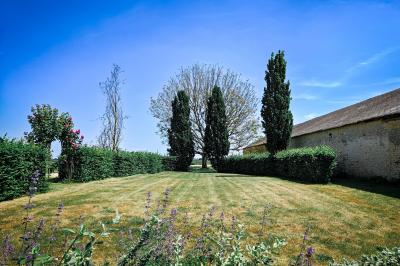 Jardin verdoyant avec pelouse bien entretenue, arbres et arbustes sous un ciel bleu dégagé.
