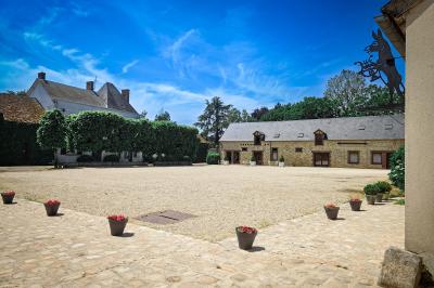 Jardin verdoyant avec pelouse bien entretenue, arbres et arbustes sous un ciel bleu dégagé.