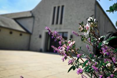 Jardin verdoyant avec pelouse bien entretenue, arbres et arbustes sous un ciel bleu dégagé.