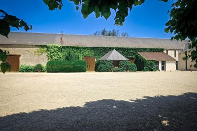Jardin verdoyant avec pelouse bien entretenue, arbres et arbustes sous un ciel bleu dégagé.
