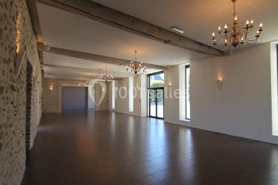 Jardin verdoyant avec pelouse bien entretenue, arbres et arbustes sous un ciel bleu dégagé.