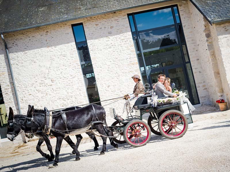Un couple assis dans une calèche tirée par deux ânes noirs devant un bâtiment en pierre avec de grandes fenêtres.