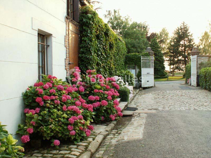 Façade de maison bordée d'hortensias roses, avec une allée pavée menant à un portail blanc ouvert.