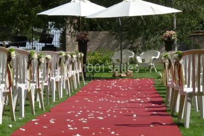 Jardin verdoyant avec pelouse bien entretenue, arbres et arbustes sous un ciel bleu dégagé.