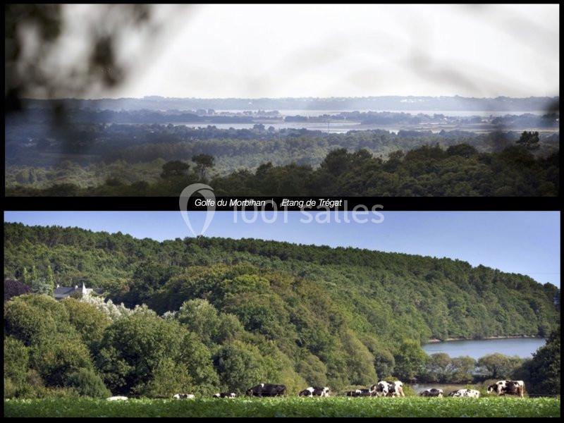 Paysage rural avec des collines boisées, un étang en arrière-plan et des vaches paissant dans un pré au premier plan.