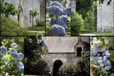 Miniature Location salle Treffléan (Morbihan) - Manoir de Randrecard #10 Paysages naturels avec lac entouré de forêts, sentiers boisés et ponton au bord de l'eau sous un ciel partiellement nuageux.