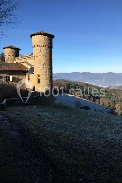 Château de Saint Bonnet Le Froid - galerie - photo 6