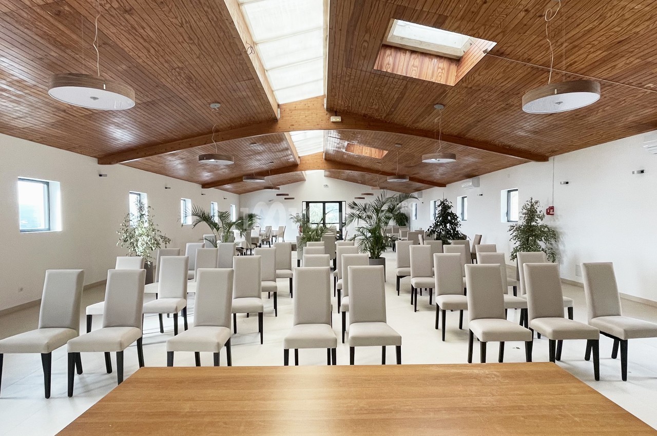 Salle lumineuse avec plafond en bois, rangées de chaises beige clair et plantes décoratives disposées autour.