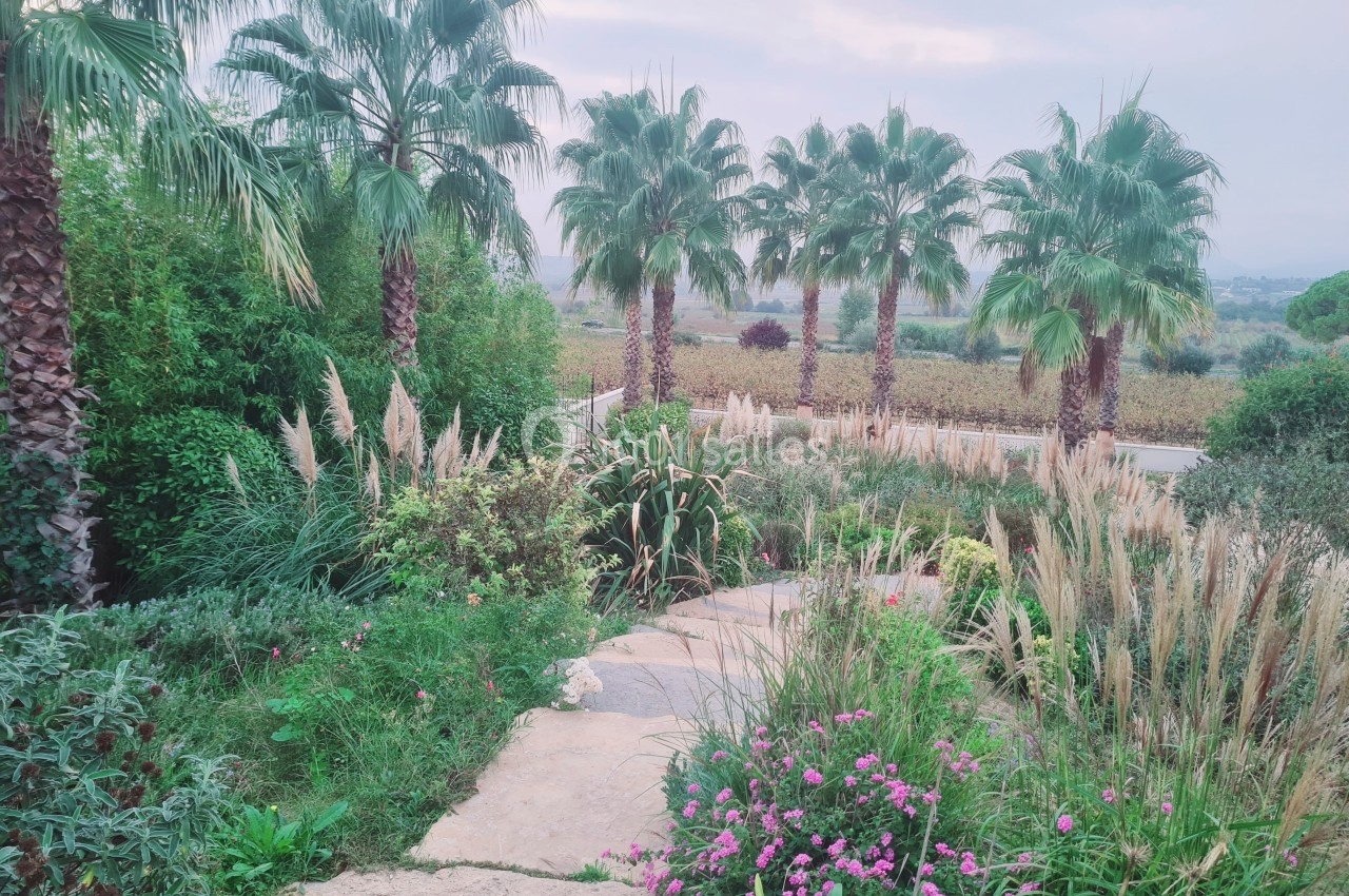 Location salle Magalas (Hérault) - Le Mas De Laux #9 Location salle Magalas (Hérault) - Le Mas De Laux #9