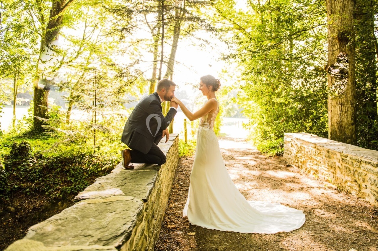 Un marié agenouillé embrasse la main de sa mariée dans un chemin boisé éclairé par le soleil.