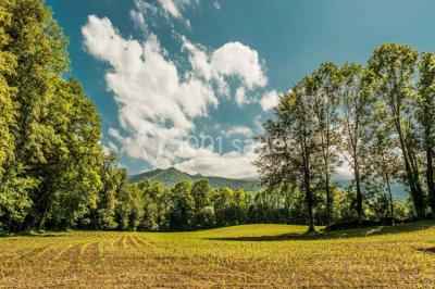 Domaine des Deux Eaux - photo 5