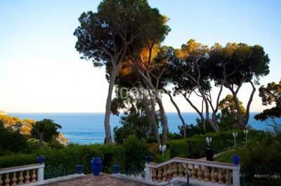 Les Pins Penchés - photo 4