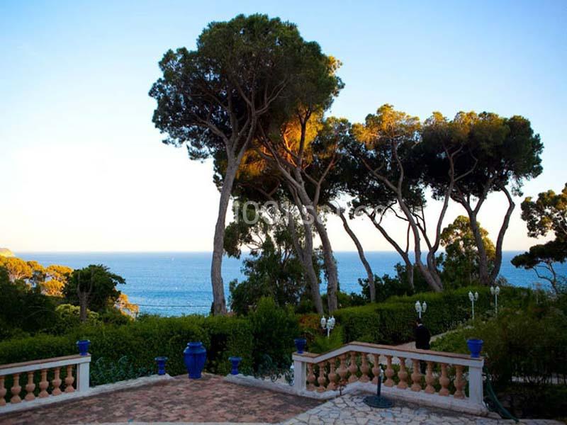 Les Pins Penchés - galerie - photo 4