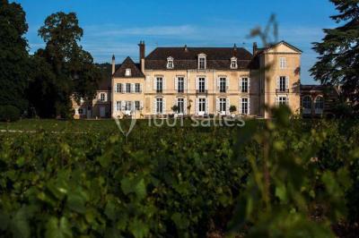 Château De Meursault - photo 5
