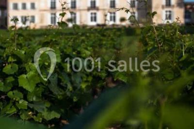 Château De Meursault - photo 4