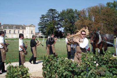 Château De Meursault - photo 2