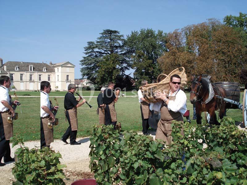 Château De Meursault - galerie - photo 4