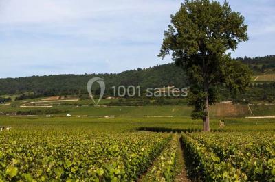 Château De Meursault - photo 5