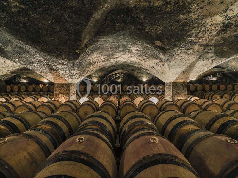 Château De Meursault - galerie - photo 10