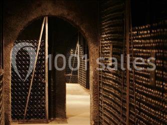 Château De Meursault - photo 2