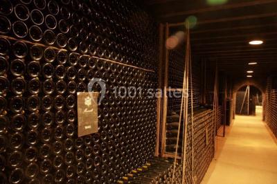 Château De Meursault - photo 3