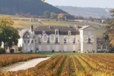 Château De Meursault - photo 2