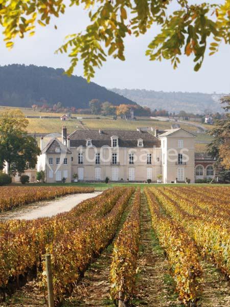 Château De Meursault - galerie - photo 21