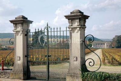 Château De Meursault - photo 4
