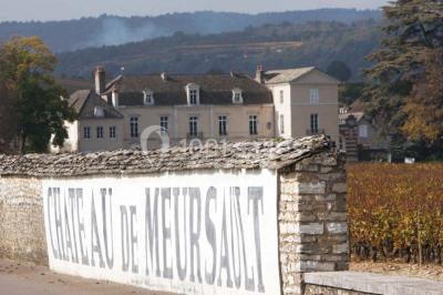 Château De Meursault - photo 2
