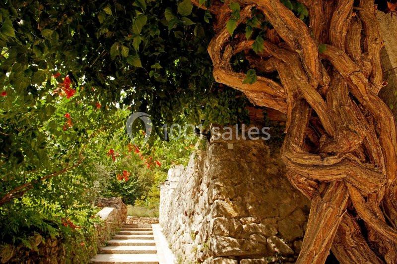 Domaine de l'Eau Vive - galerie - photo 11