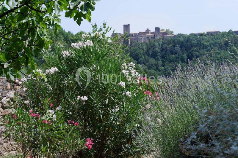 Domaine de l'Eau Vive - galerie - photo 45