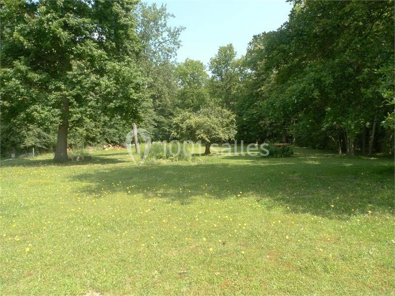 Domaine De La Villa Diana - galerie - photo 16
