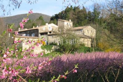 Location salle Mirmande (Drôme) - Domaine Les Fougères #24