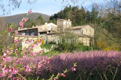 Domaine Les Fougères - photo 3