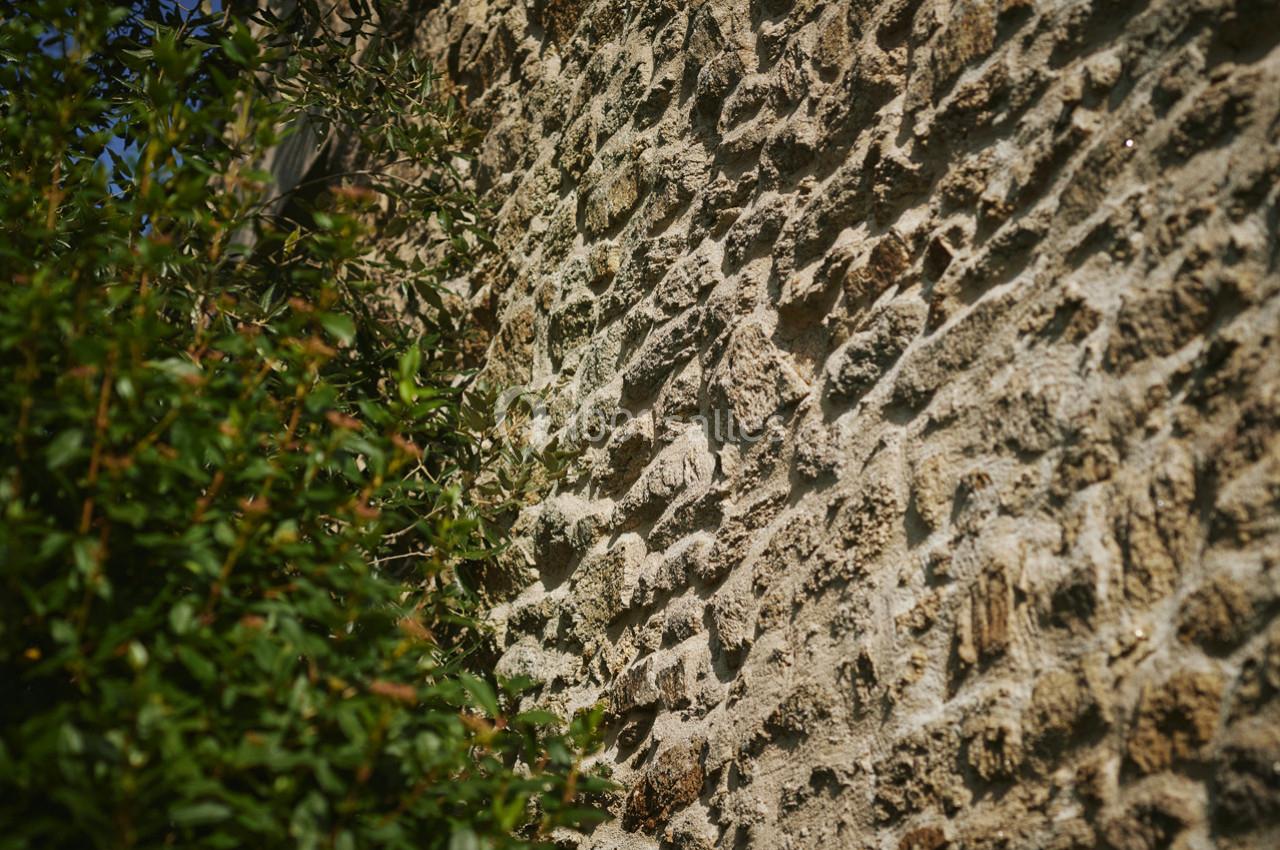 Domaine des Colombes - galerie - photo 24
