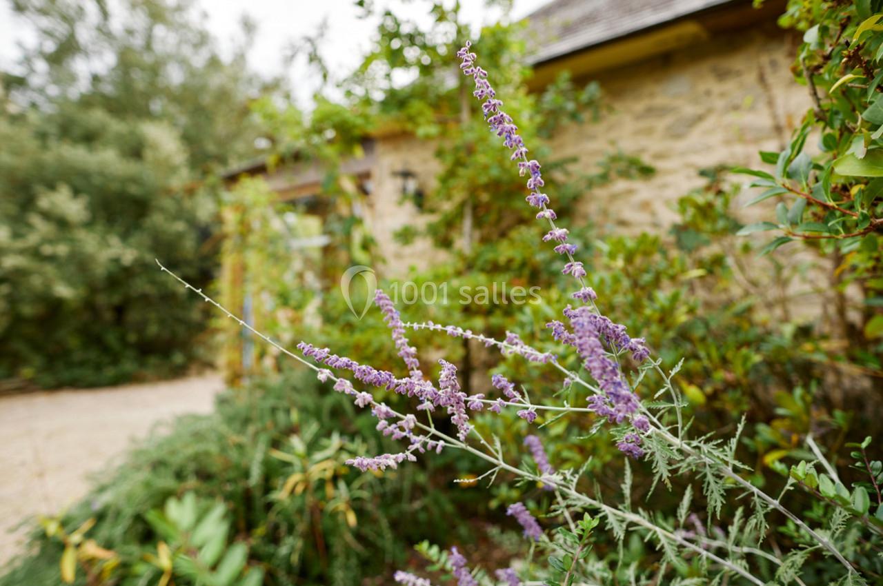 Domaine des Colombes - galerie - photo 61