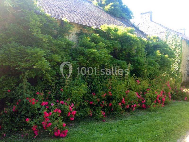 Massif de rosiers roses et verdure dense longeant un mur en pierre sous un ciel dégagé.