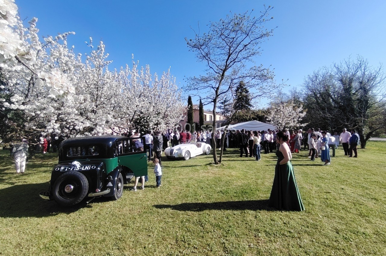 Personnes rassemblées dans un jardin ensoleillé, entourées d'arbres en fleurs et de voitures anciennes.