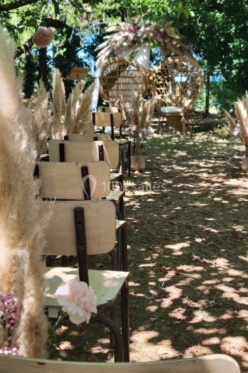 Chaises en bois alignées en extérieur, décorées de fleurs et de pampas, avec un fauteuil en osier en arrière-plan.
